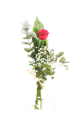 Rosa preparada