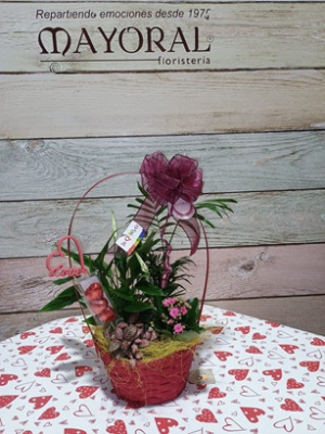 Cesta de plantas. 